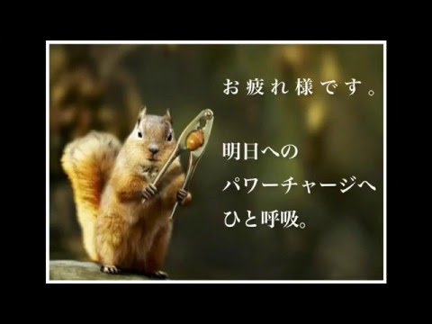 ノルウェイの森 (ノルウェイノモリ)｜秋田県 潟上市｜ハッピーホテル