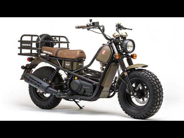 今年も健在!! ホンダ「ラッカス」2024年モデルを北米で発表バイクの情報 - YouTube