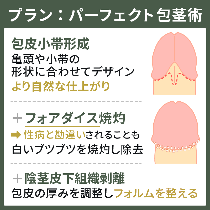 子どもの包茎」むきむき体操（包皮翻転指導）のすすめ – いしゃまち