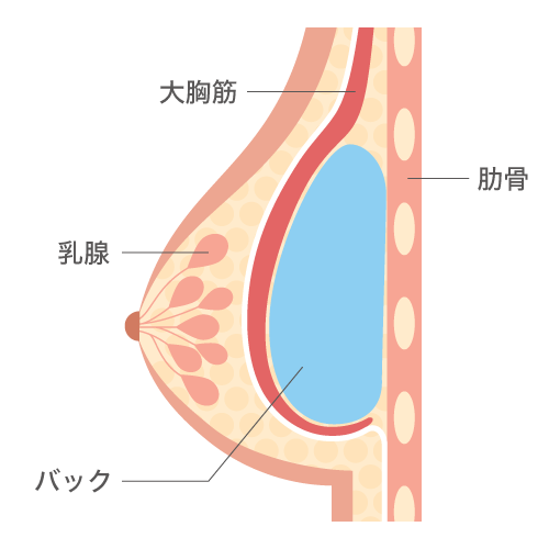 イラストつき】立ちバック（背面立位）のやり方・コツは？2人で気持ち良くなって、マンネリ防止！ | WOLO 好きな人に愛されたい