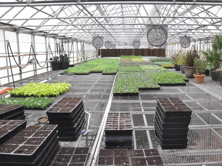 初心者のビニールハウス自作は大変！？作った過程を写真で振り返ります