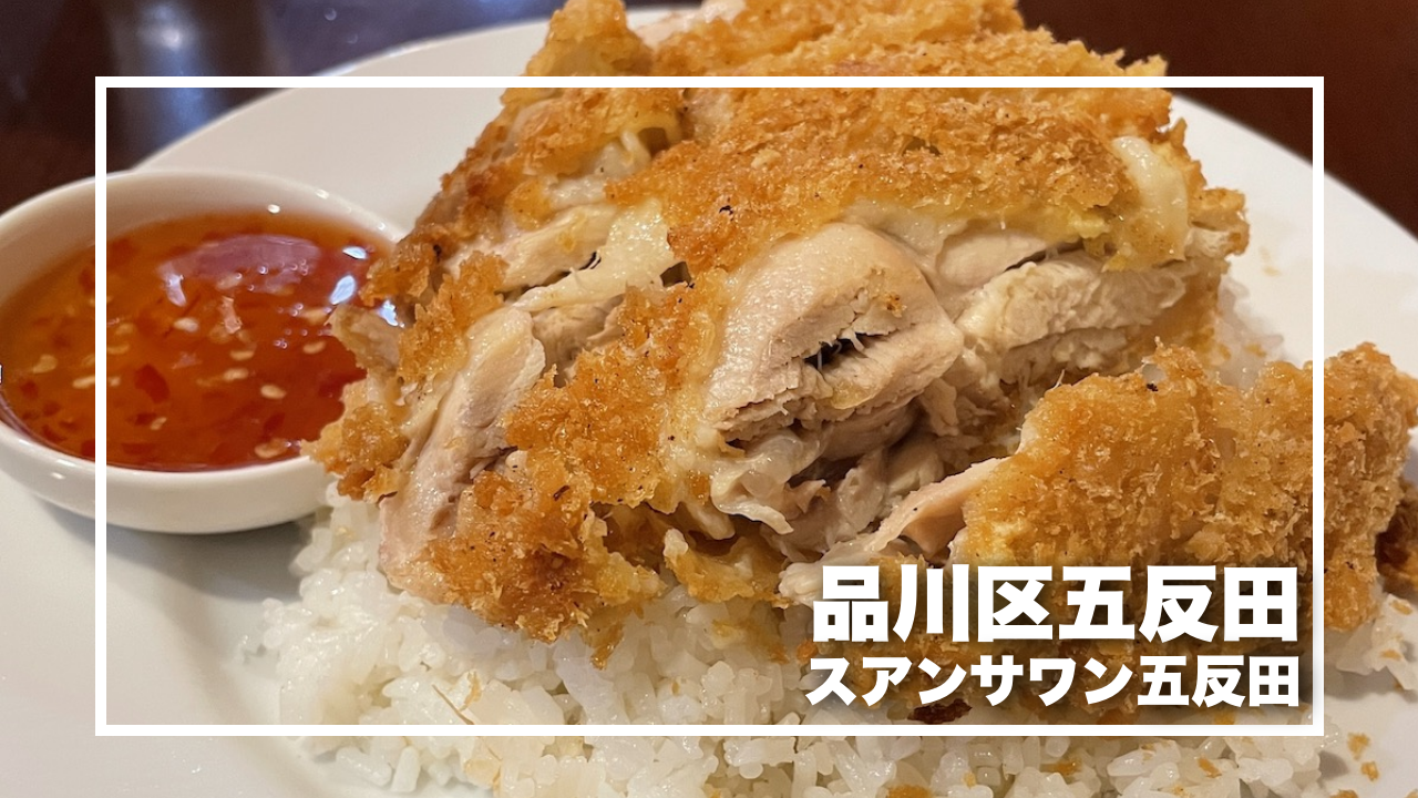 MR CHICKEN 鶏飯店