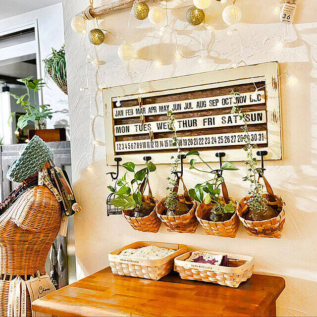 100均ダイソーで販売している収納バスケットの商品一覧 DAISO