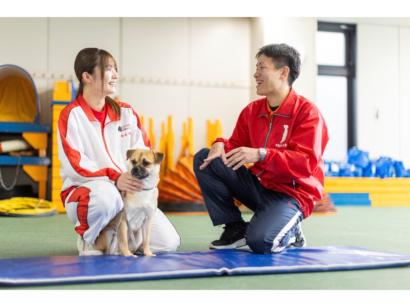 動物 未経験歓迎の転職・求人情報 - 静岡県求人ボックス