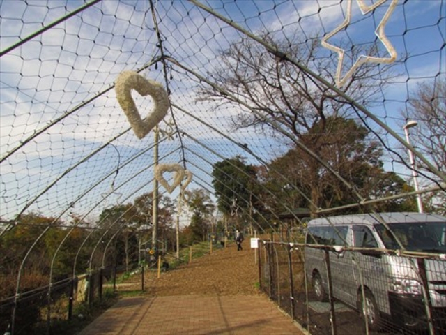 成田山公園の花見・桜情報【2024】｜ウェザーニュース