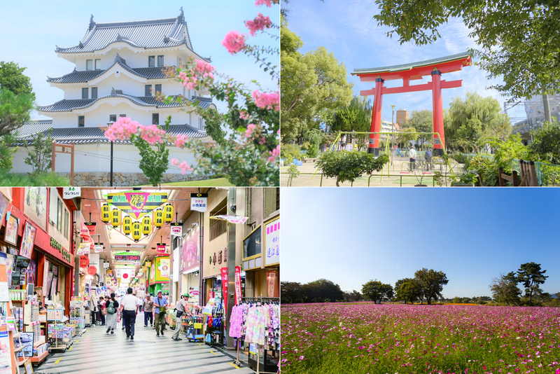 兵庫県尼崎市）宮内公園、蓬川公園、梅の木公園、小田南公園。梅は咲き始め。キレンジャク、ジョウビタキ（オス）、シジュウカラ、ツグミ、ムクドリ、ハクセキレイ、モズ、オオバン、キンクロハジロ、ホシハジロ。  - 晴歩雨描