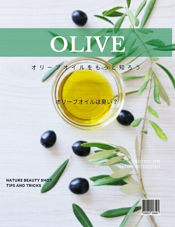 アレッポのソープ OLIVE 180g【アレッポの石鹸職人からの贈り物】 :