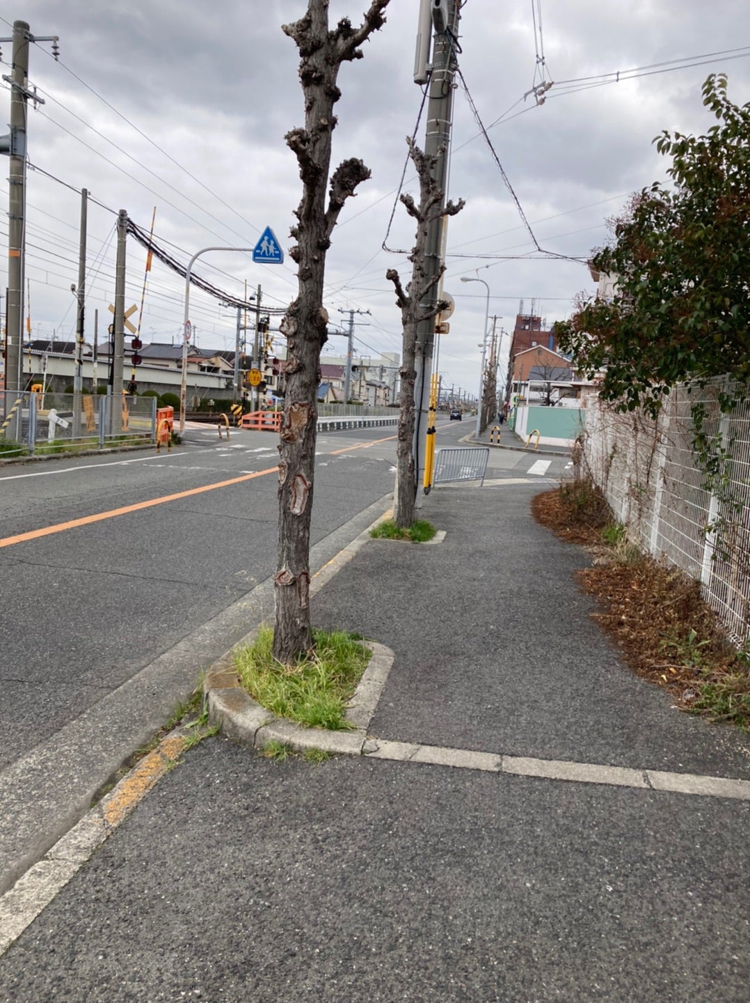 信太山の焼肉ランチが大人気！