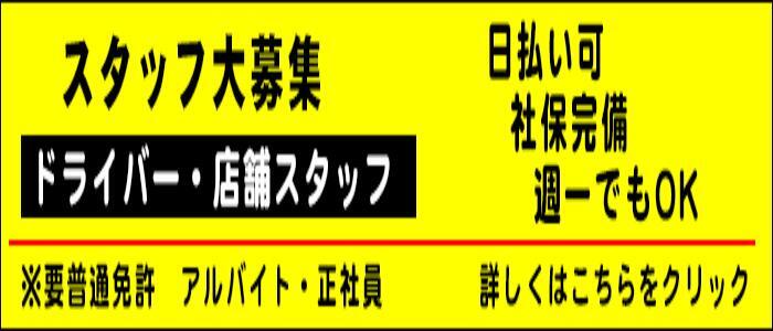 佐野えりかのプロフィール｜徳島市のデリヘル マリリンにあいたい。