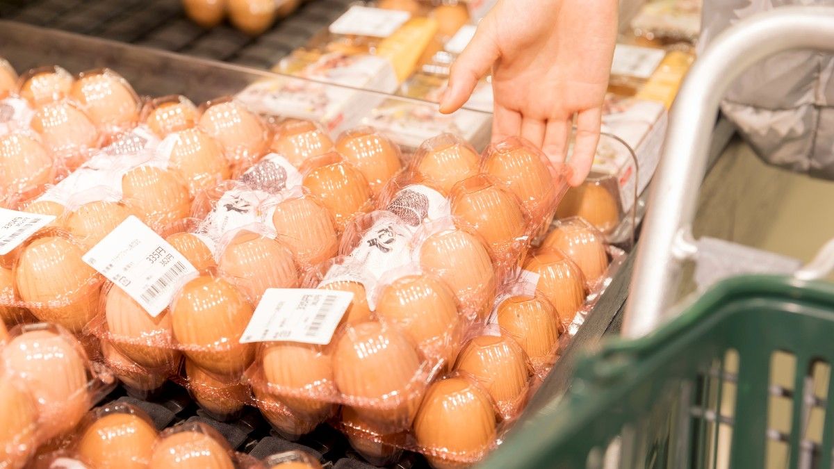 個人の貯蓄も充てなくては」 飼料高騰、利益なし 畜産農家の悲鳴毎日新聞