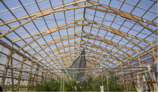 ビニールハウス 温室 家庭用 ガーデンハウス ビニール温室 温室ハウス おしゃれ DIY ビニール 小型 簡易 農業 ミニ ベランダ PBO-ML02: attention - 通販 - Yahoo!ショッピング