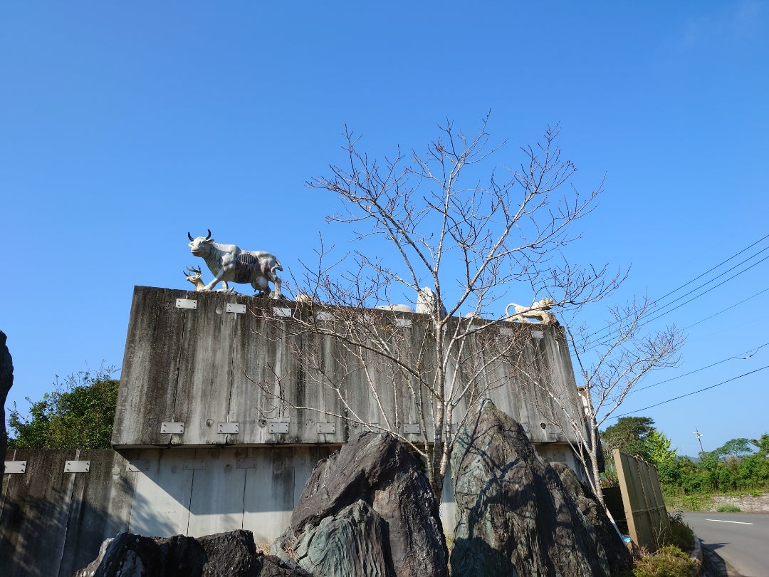 川内川(薩摩川内市） 写真素材 [