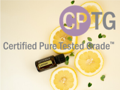 コラボワークショップ開催しました！ - All Life Flower