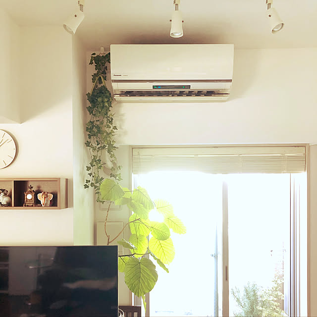 エアコンの配管隠し フェイクグリーン ワイヤープランツ マクラメハンギング 両面テープ などのインテリア実例 - 2022-08-1823:08:03RoomClip ルームクリップ
