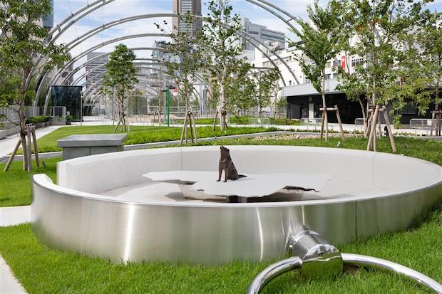 写真24枚 渋谷駅前 ハチ公前、ヒカリエ前東京都 全国風景アーカイブみやだい