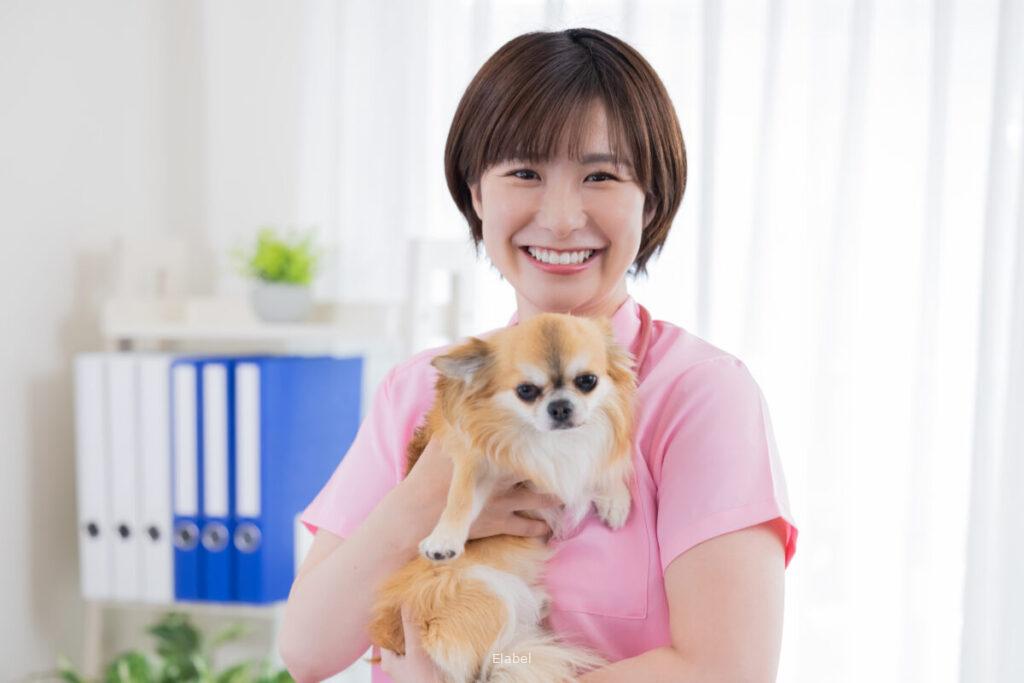 🐕求人募集のお知らせです🐕正社員 愛玩動物看護師 リーダークラス募集対象：実務経験5年以上 愛玩動物看護師仕事内容：動物病院およびペットケア複合施設での診療補助業務 診療・手術補助 、介護ケア、フィットネス、事務業務全般。診療補助 診察・処置