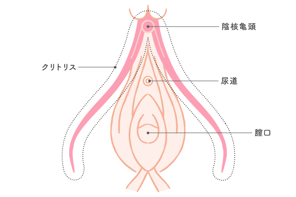 オリモノ・オナニー20代のお姉さんのパンツ 割引