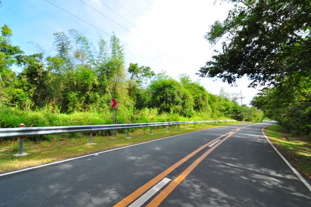 車両通行帯とは？センターラインとの違いや正しい走り方を解説中古車の ネクステージ