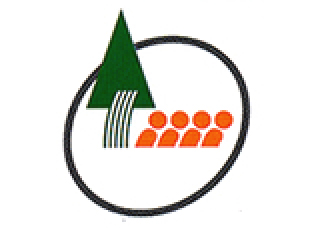 楽天市場 フローリング材 無垢 床材 唐松 ラーチ 節あり 無塗装 1820×15×120mm 1束7枚 1.52平米 No.157 Δ 床板フローリング 張り替え diy リフォーム 木材 材料 フロア 板材 1畳 送料無料 カラマツ 床 簡単 内装 リノベーション Δ : 木一筋楽天市場店