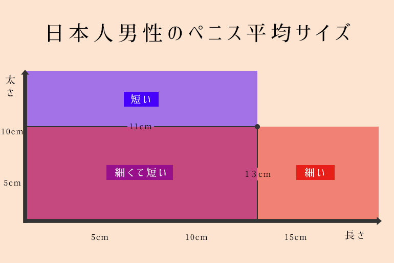 ペニスの大きさは平均どれくらい？日本人のペニスサイズや測り方、小さい原因を解説 | 包茎手術のノーストクリニック【公式】