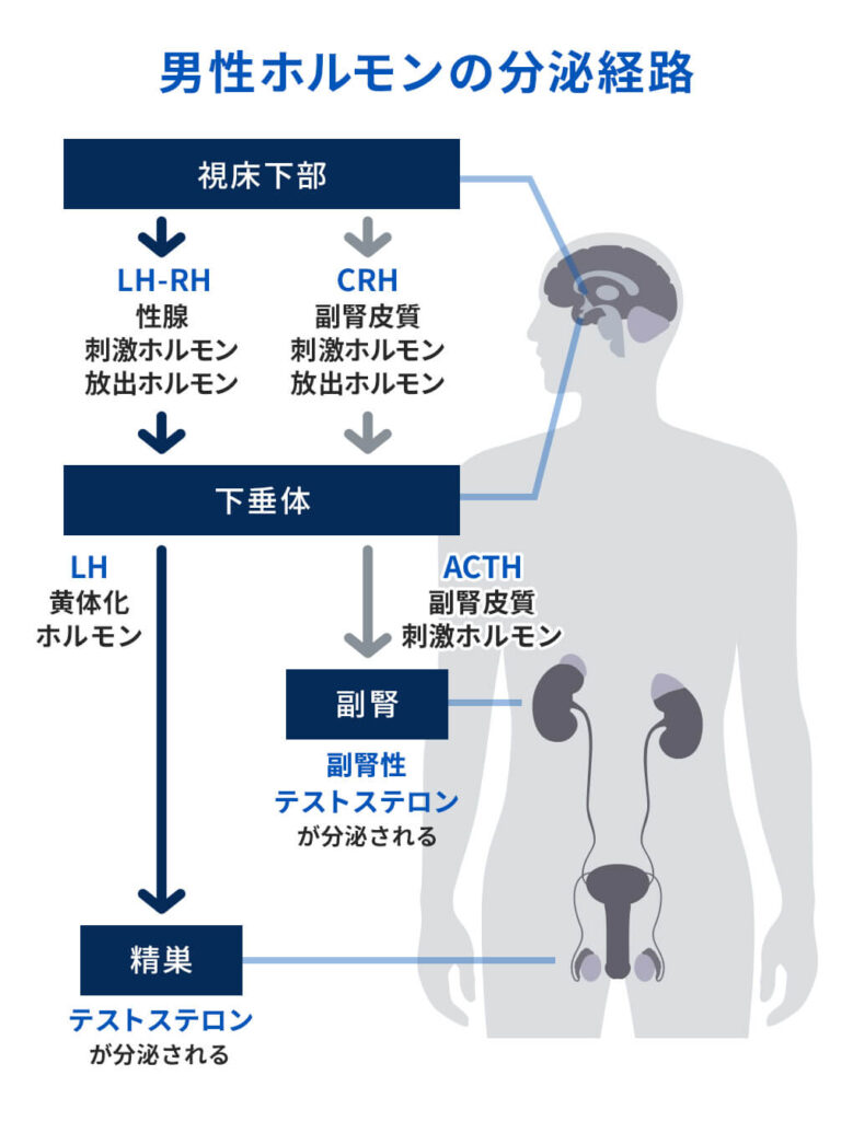 最高の