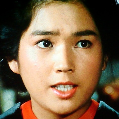 □GORO ゴロー1984年2月9日号 No.4□和泉友子.紺野美沙子.川島なお美.松本伊代.嶋めぐみ.田中好子□a005(アイドル、芸能人)｜売買されたオークション情報、Yahoo!オークション(旧ヤフオク!)