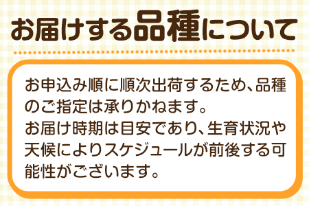 生田斗真/桐谷健太/柿原りんか 映画「彼らが本気で編むときは、」朝日新聞広告紙面  170217(映画)｜売買されたオークション情報、Yahoo!オークション(旧ヤフオク!) の商品情報をアーカイブ公開