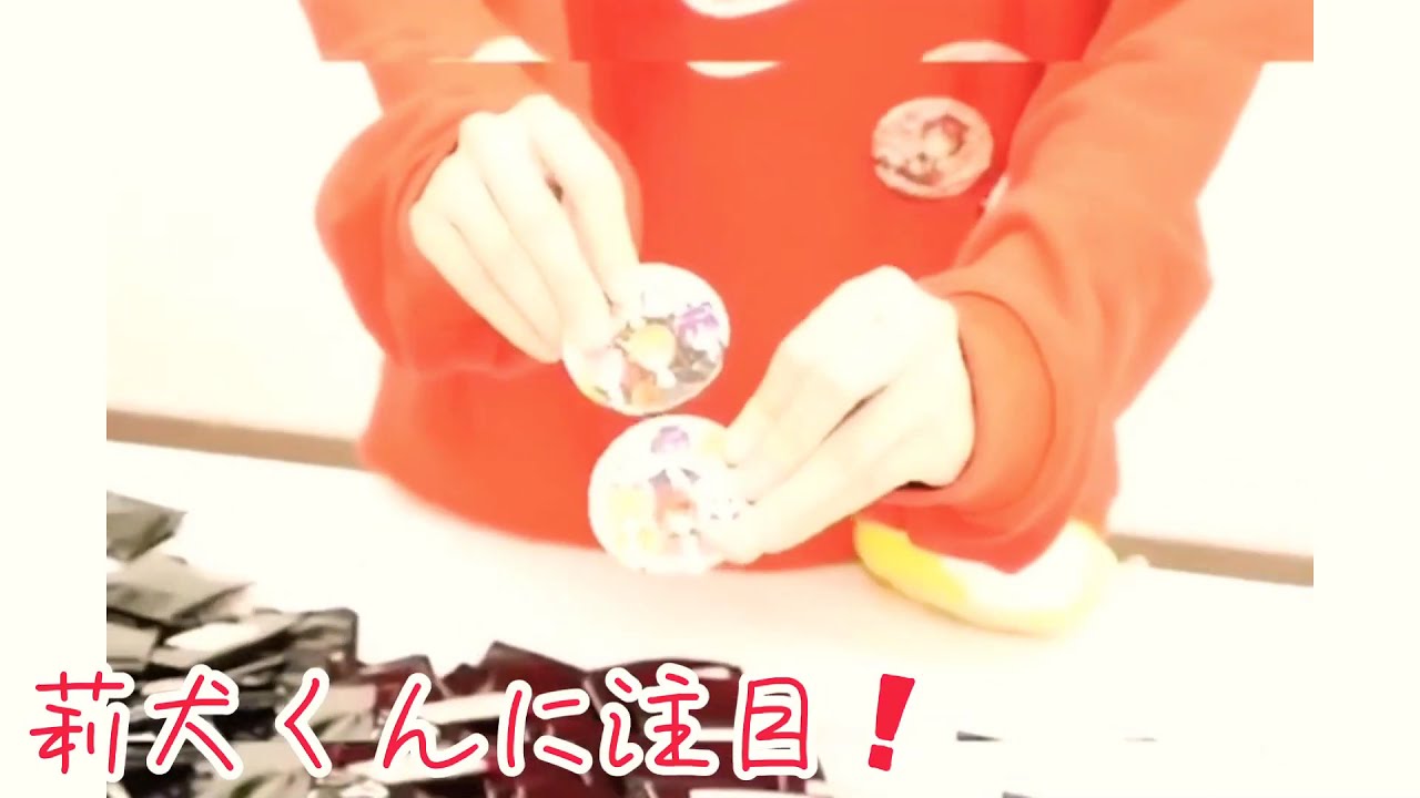 Kokaka: Happy weekend!,ASMRきゅん死尊死しんどい時見てなうろく休み時間推しが作ったみたいかわいすぎる癒し安らぎ毎日わんこストレス解消かわいい動物クオッカ音フェチオーストラリア森林浴shortsrelaxationsleepaidquokkaasmrsounds