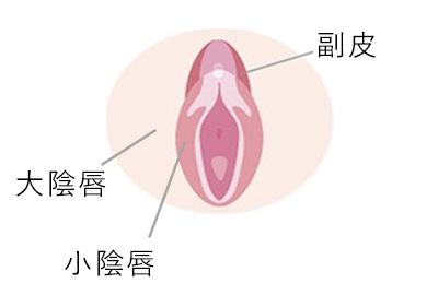 クリトリスの皮の剥き方とは？クリトリス包茎でも上手に剝くコツ！ | ゼブラ｜出会い系とセックスの攻略サイト