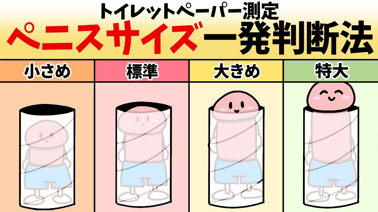 ちんこの理想サイズはトイレットペーパーの芯って本当？測定方法・女性の好みなどを解説 - メンズラボ