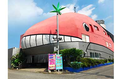 ホテル ハヤン ザ・リゾート 茨城県ひたちなか市田彦976番地