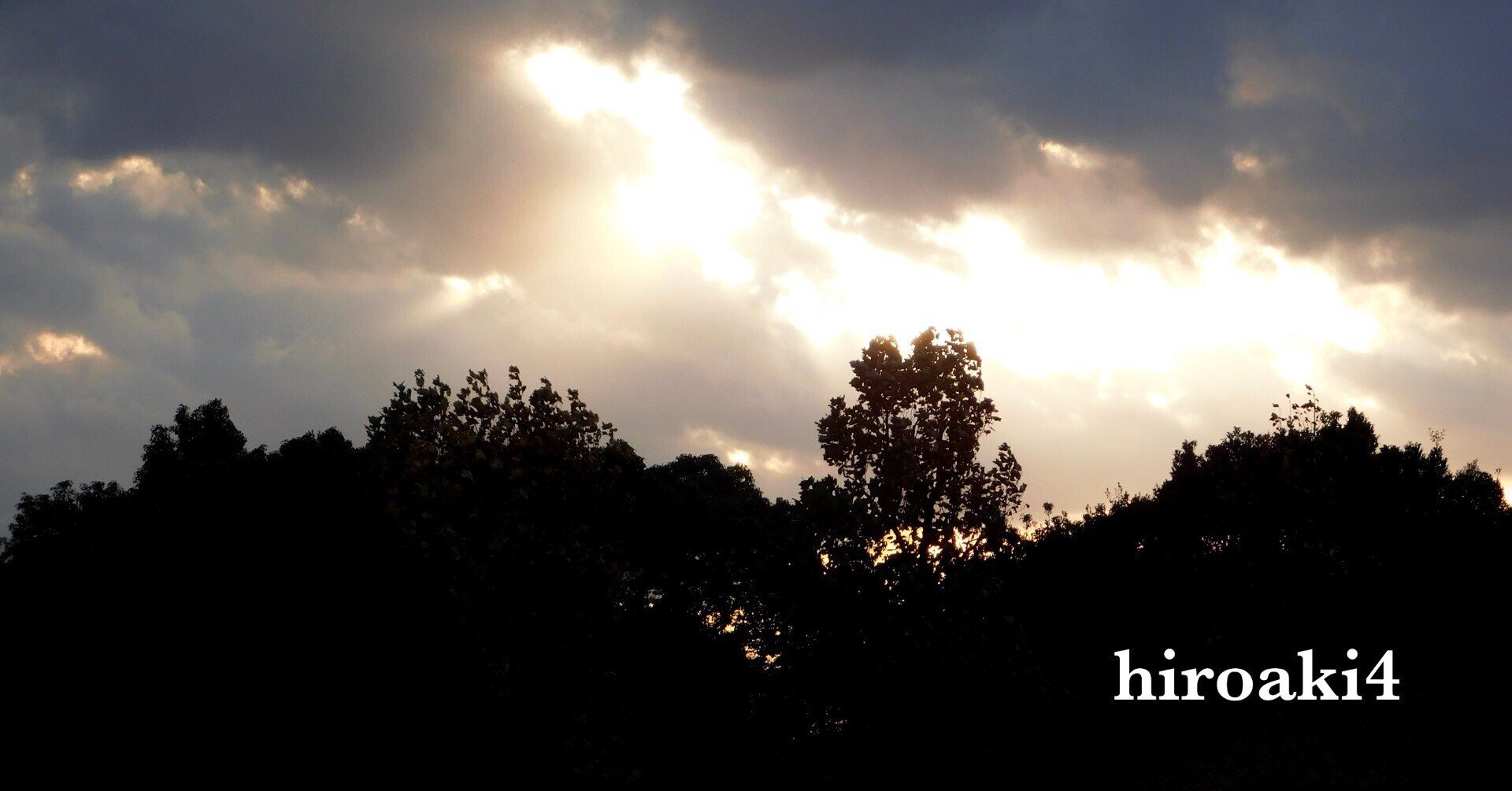 イベントは未知のお店と出会える絶好の機会」と話す矢野和昭実行委員長 - ひなた宮崎経済新聞