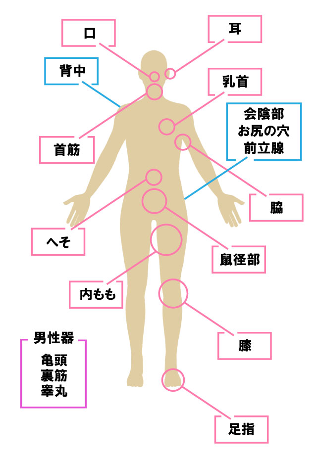 悶絶亀頭責めイベント☆彡 】 援護会グループ 素人人妻専門店 浜松人妻援護会