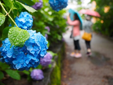 ２０２３年６月 梅雨時の京都って本当に人が少ないの？ - じゃらん旅行記