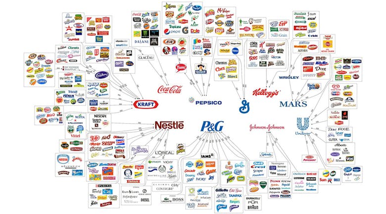 Illustrator 架空企業ロゴ制作とプレゼン発表会を終えてWebデザイン、完全に理解した