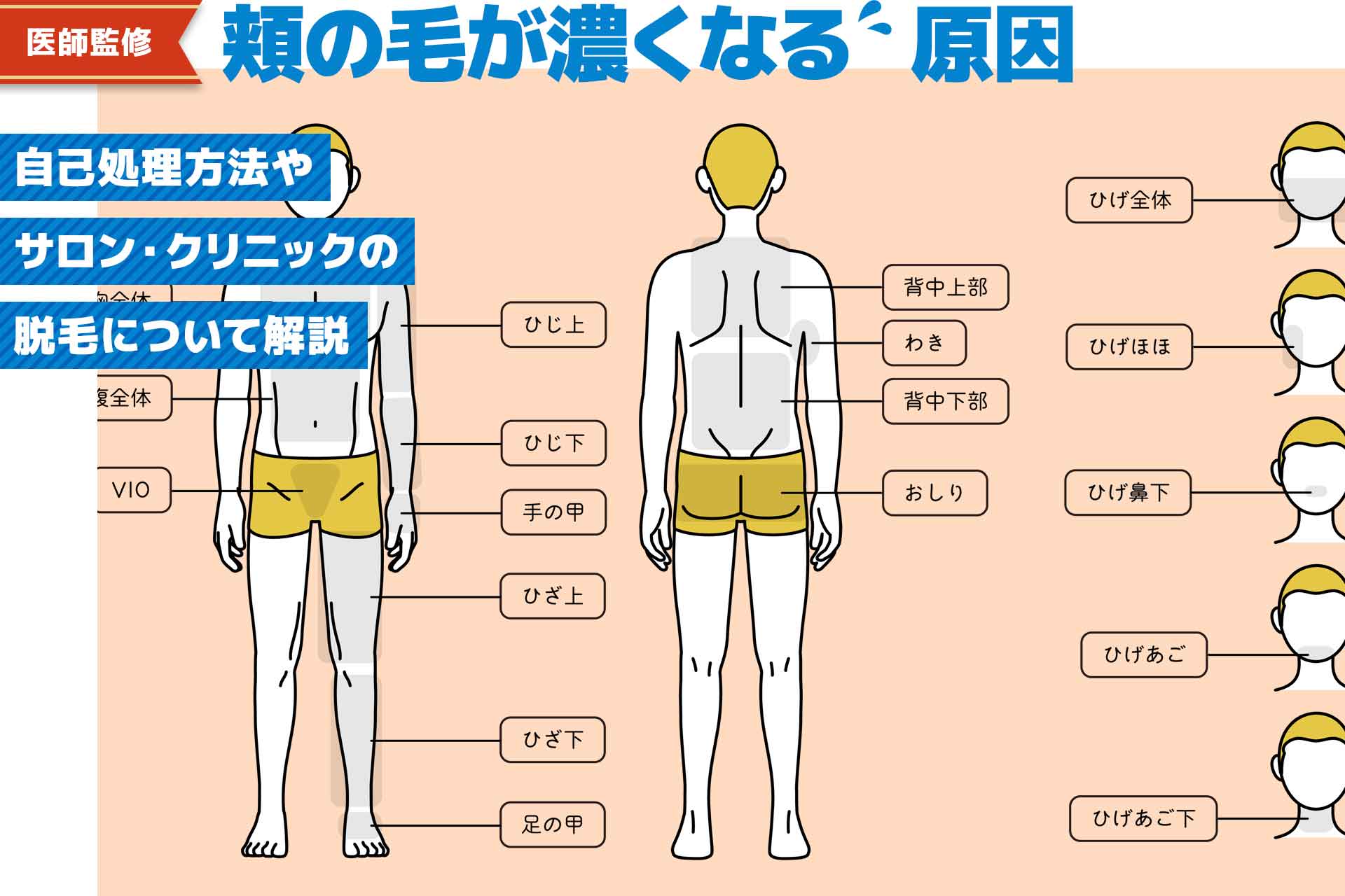 実体験】中学生からヒゲを抜き続けたら薄くなった話【30代まで】