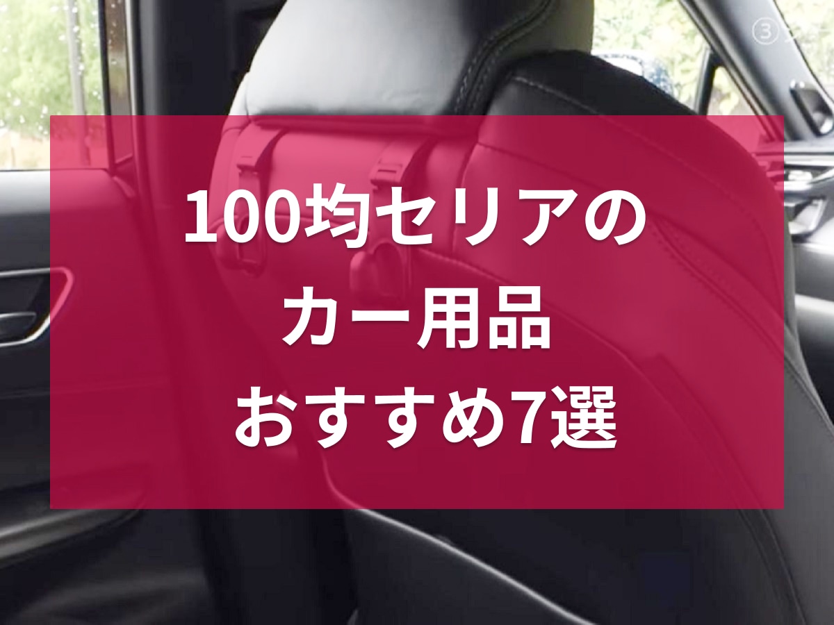 セリア の「トランク収納バッグ」はサイズと素材が神すぎる！車内整理はもちろん、野菜ストックやアウトドアにも重宝HugKum はぐくむ