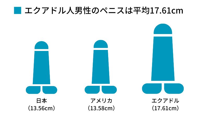 女性が理想のサイズは何センチ?