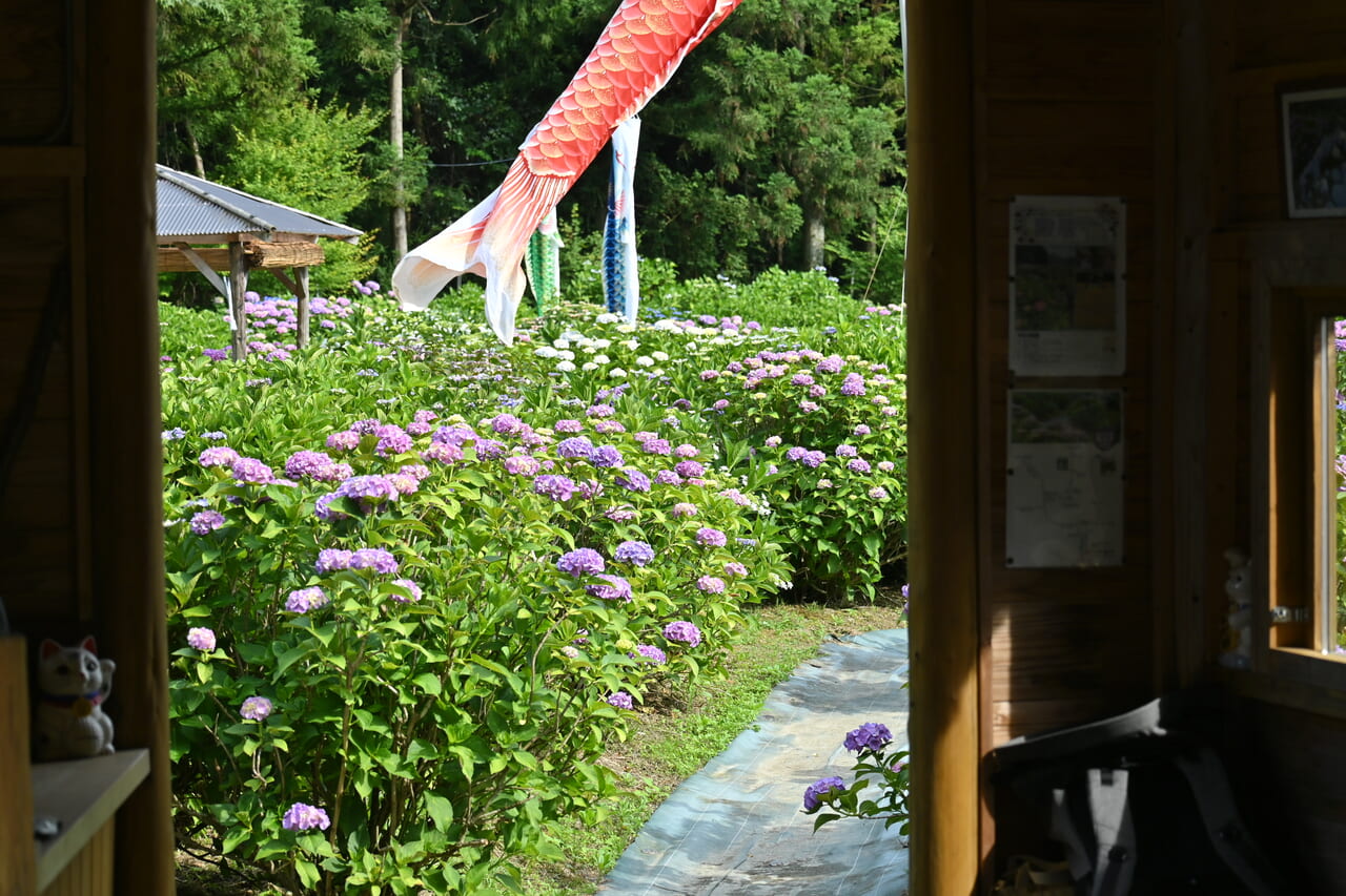 紫陽花の水色」 「リラクゼーション」「瞑想」「愛情」「友情」レディースパワーストーンブレスレット。 ブレスレット