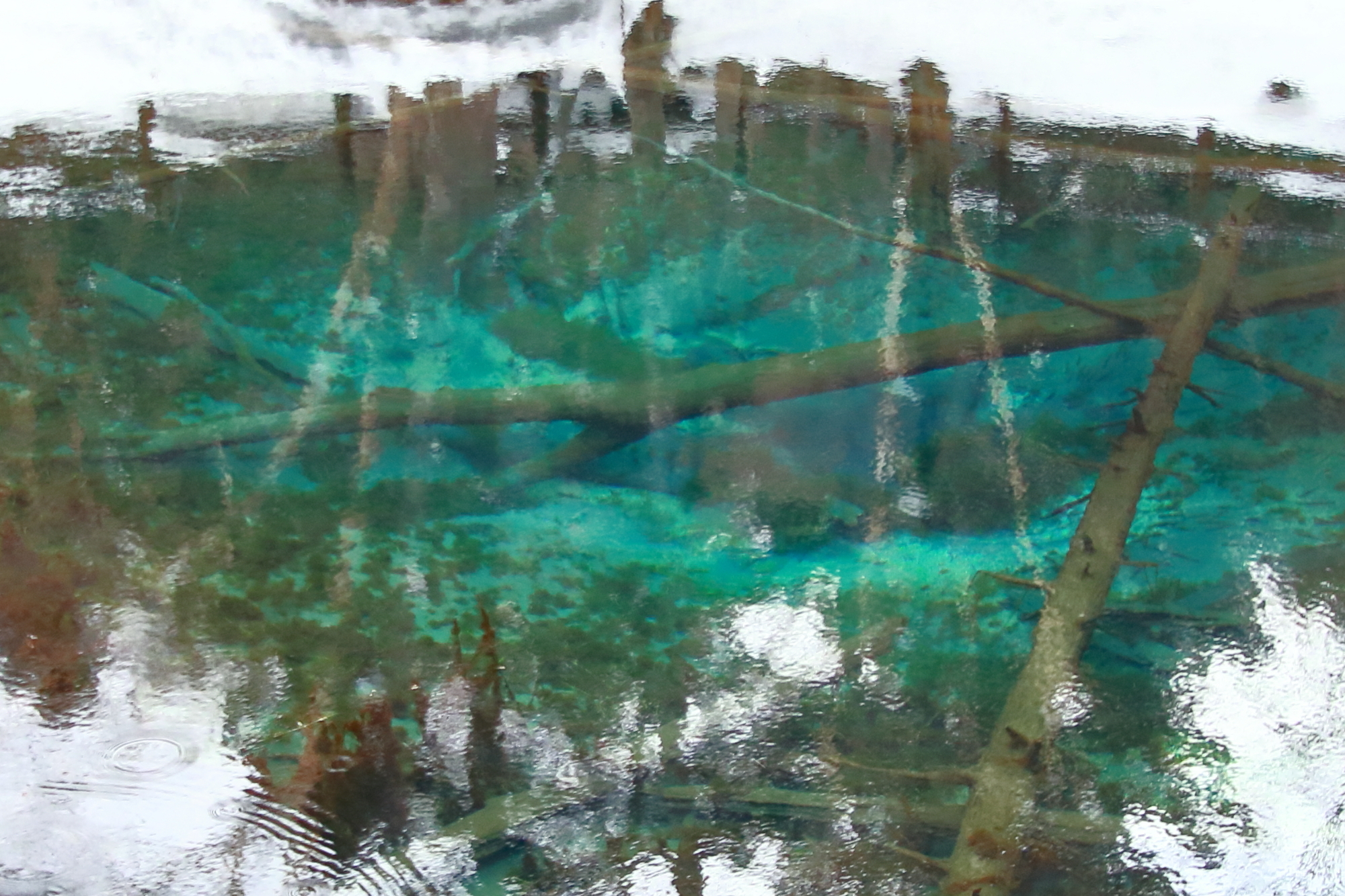 神の子池 アクセス・営業時間・料金情報 - じゃらんnet