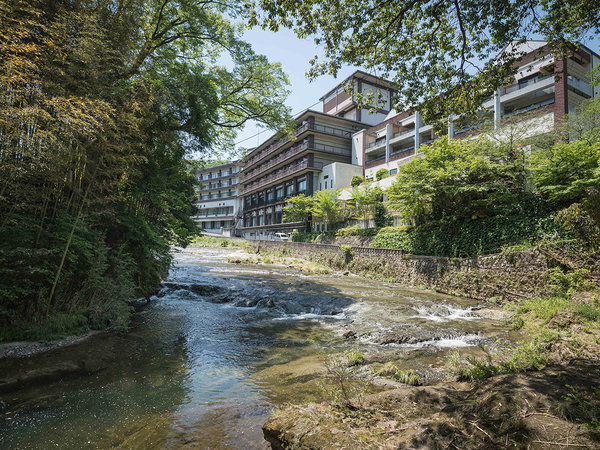 袋田温泉 思い出浪漫館～自然に囲まれた美人の湯～ - 宿泊予約は【じゃらんnet】