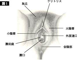 バレない吸うやつシリーズ7選！吸うやつの魅力や使い方も解説