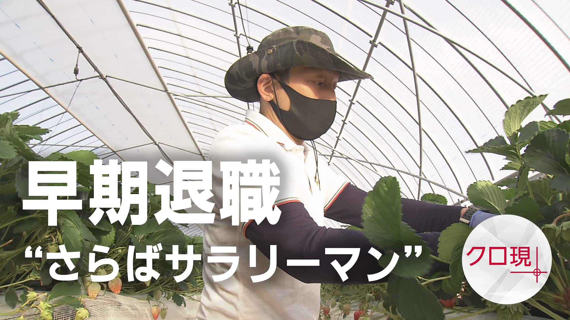 平均的サラリーマンの最強の生き方 なぜかうまくいってる人が大切にしている7つのことチーム安部礼司+TOKYO FM 本通販Amazon