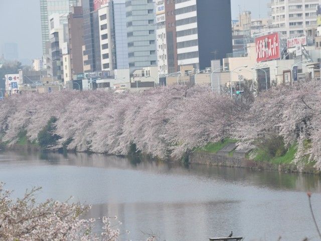 貴重☆ 四谷大塚 学校別判定テスト