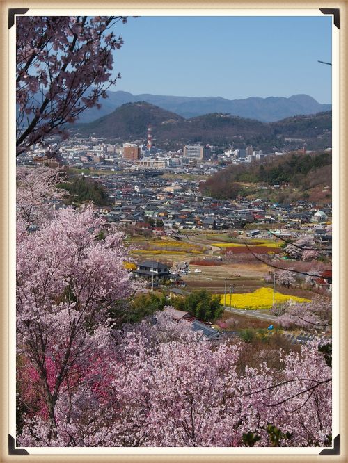 写真 : TotalPlants・bloom - 福島市大町/花屋