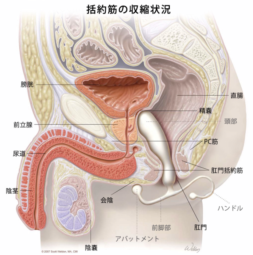 「アネロスはじめました」って人におすすめな音声作品たちを紹介する。 - DLチャンネル みんなで作る二次元情報サイト！