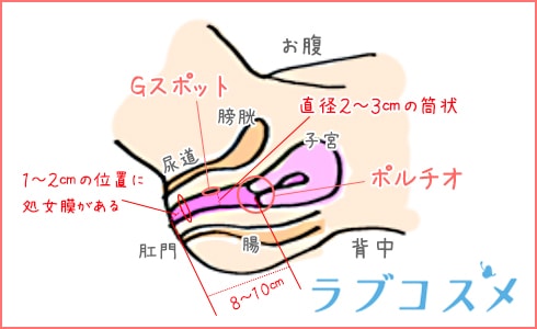 愛撫でアクメ 気持ち良い指マンができる指サック |