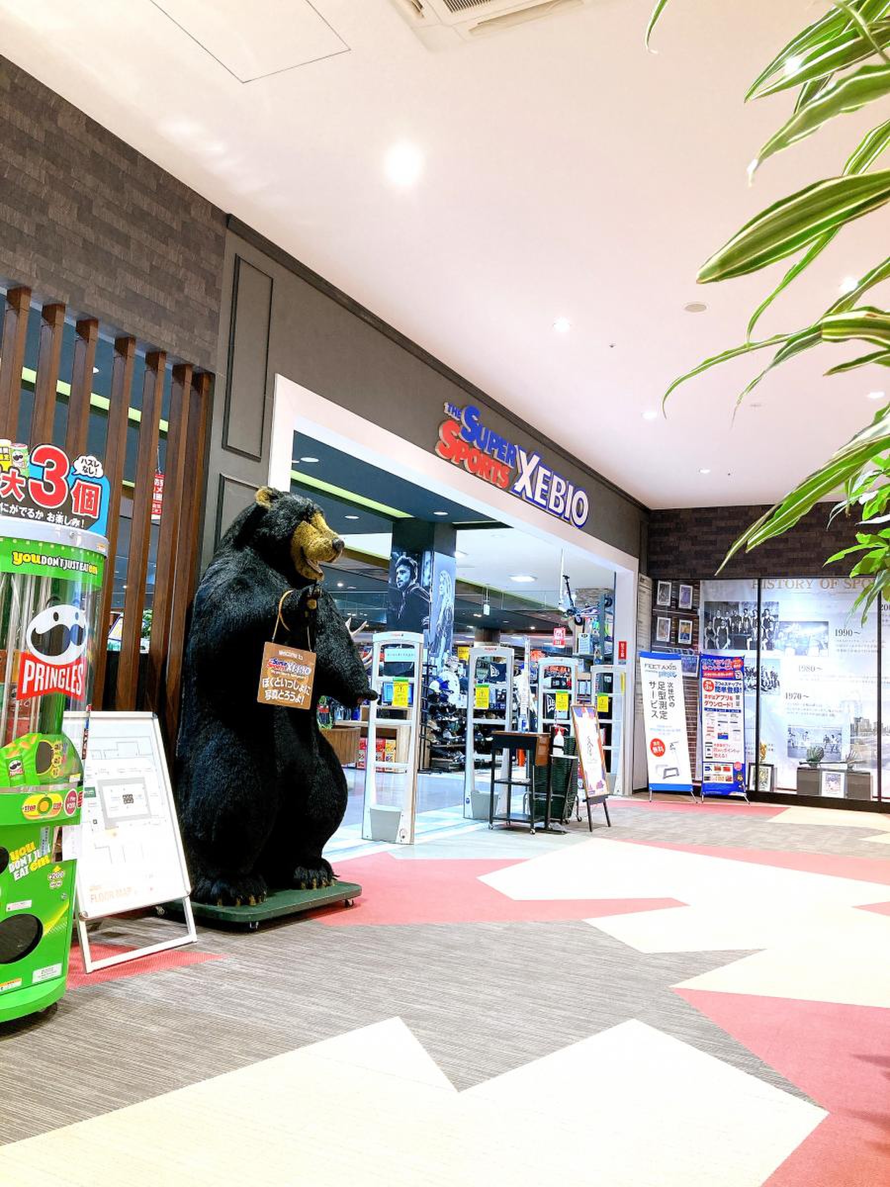 伊勢崎市 スマーク伊勢崎、スーパースポーツゼビオ跡地に2024年夏！新しいお店のオープンが決まったようです！号外NET 伊勢崎市