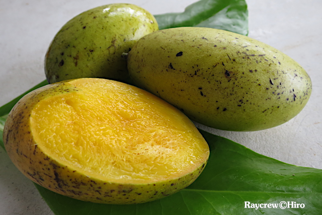 マーシャル諸島 - 国際機関 太平洋諸島センタ