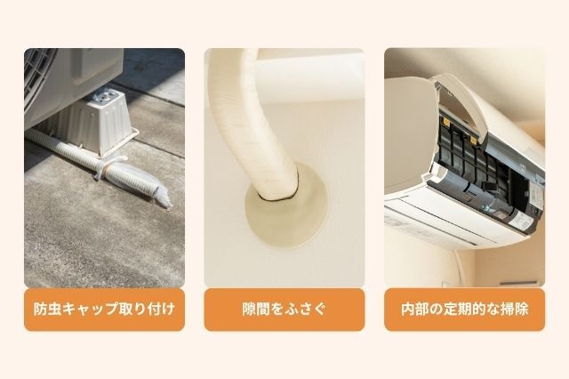 コウモリの侵入箇所と経路コウモリ駆除・対策チーム